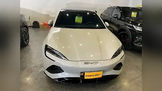 Foto de um byd seal