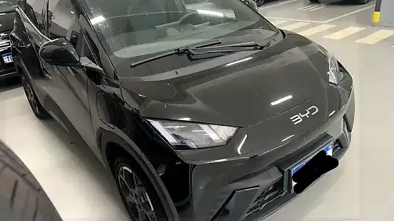 Foto de um byd dolphin mini
