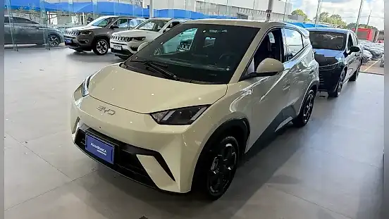 Foto de um byd dolphin mini