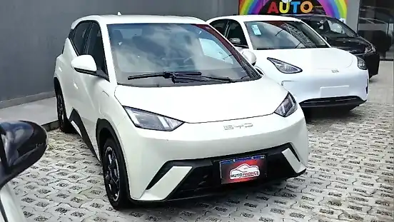 Foto de um byd dolphin mini