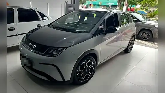 Foto de um byd dolphin plus