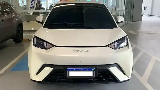 Foto de um byd dolphin mini