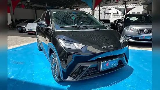 Foto de um byd dolphin mini