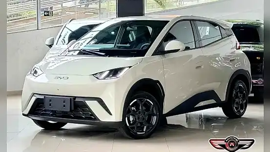 Foto de um byd dolphin mini