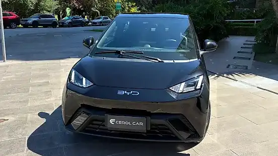 Foto de um byd dolphin mini