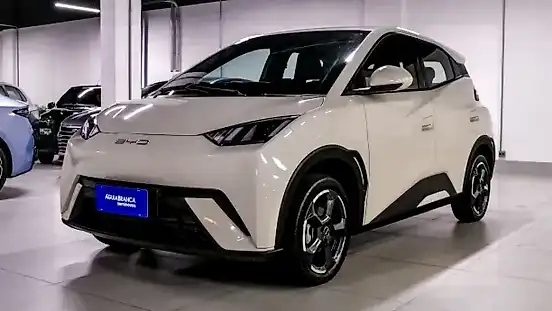 Foto de um byd dolphin mini