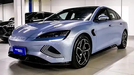 Foto de um byd seal