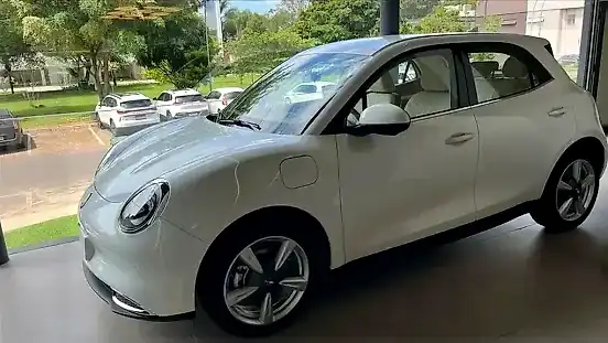 Foto de um gwm ora 03
