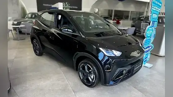 Foto de um byd dolphin mini