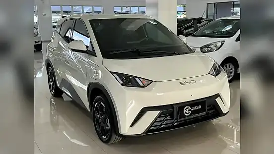 Foto de um byd dolphin mini