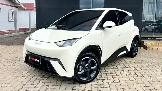 Foto de um byd dolphin mini