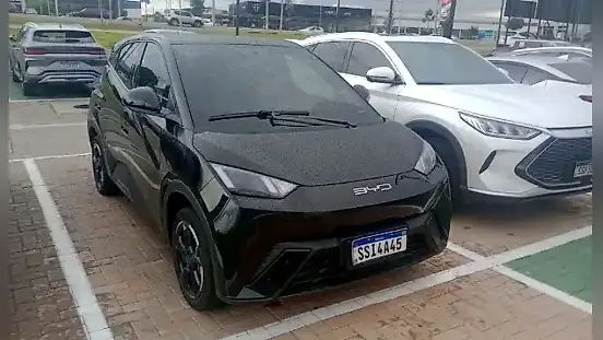 Foto de um byd dolphin mini