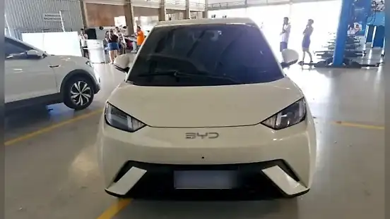 Foto de um byd dolphin mini