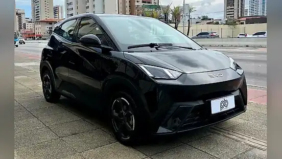 Foto de um byd dolphin mini