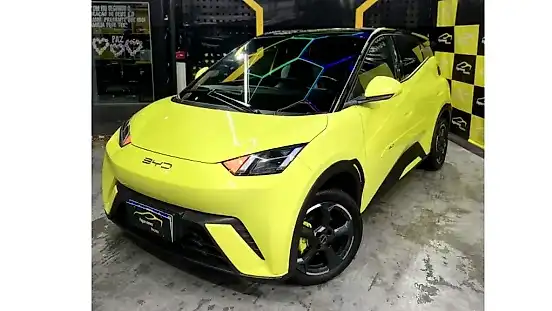 Foto de um byd dolphin mini