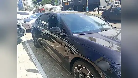 Foto de um byd seal