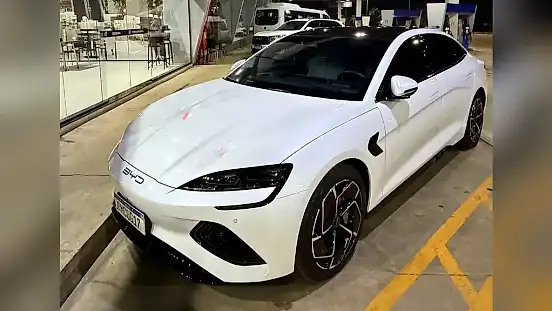 Foto de um byd seal
