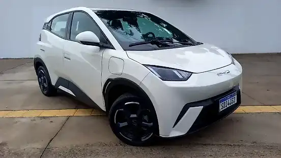 Foto de um byd dolphin mini