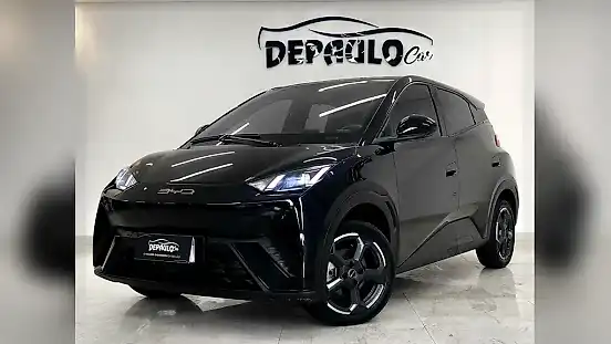 Foto de um byd dolphin mini