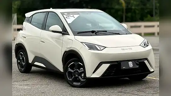 Foto de um byd dolphin