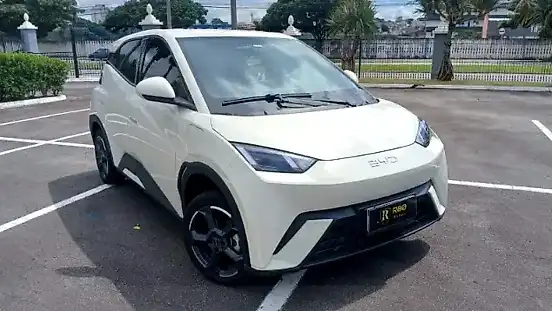Foto de um byd dolphin mini