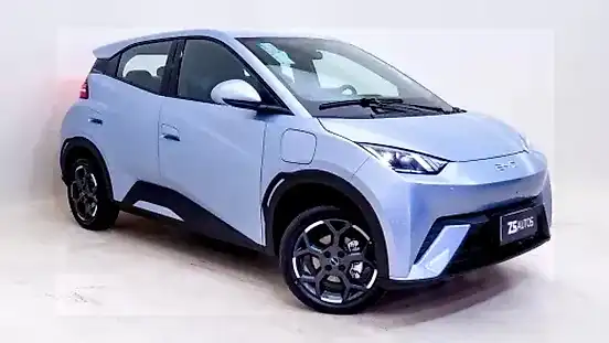 Foto de um byd dolphin