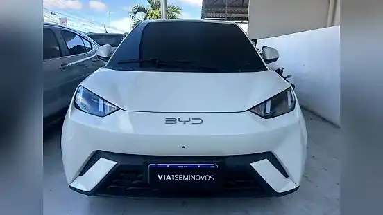 Foto de um byd dolphin mini