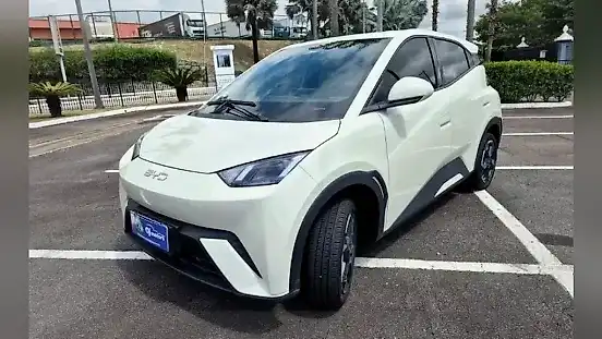 Foto de um byd dolphin mini