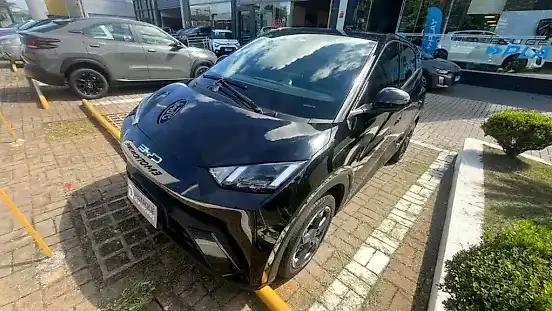 Foto de um byd dolphin mini