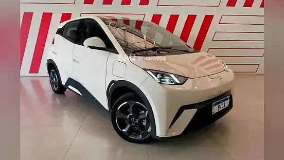 Foto de um byd dolphin mini