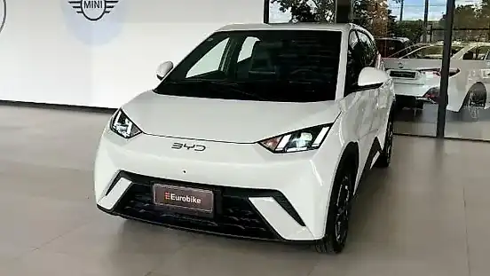 Foto de um byd dolphin mini