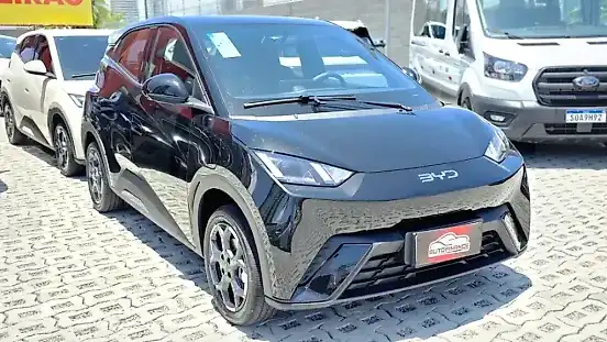Foto de um byd dolphin mini