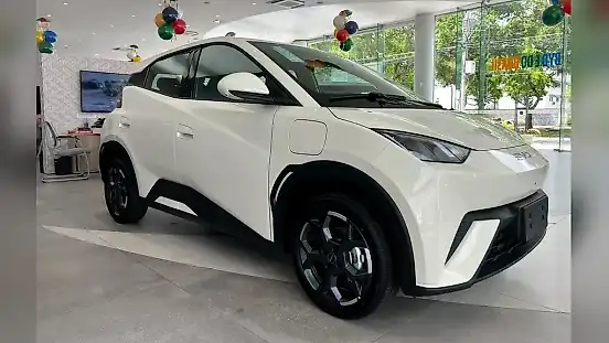 Foto de um byd dolphin mini