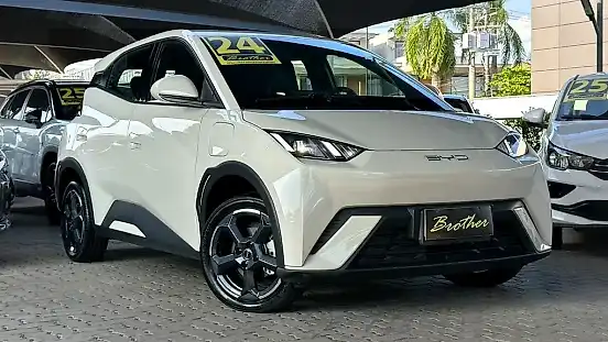 Foto de um byd dolphin mini