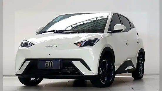 Foto de um byd dolphin mini