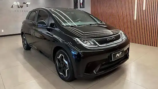 Foto de um byd dolphin