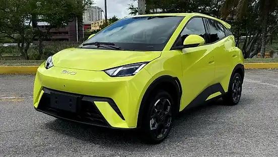 Foto de um byd dolphin mini