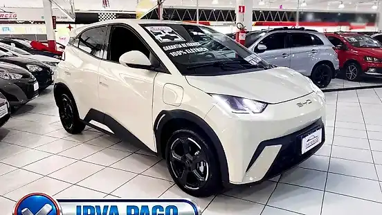 Foto de um byd dolphin mini