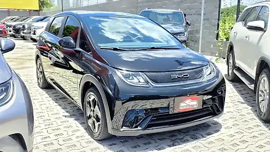 Foto de um byd dolphin