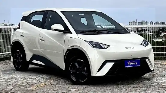Foto de um byd dolphin mini