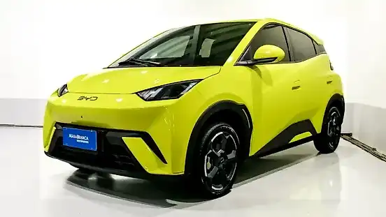 Foto de um byd dolphin mini