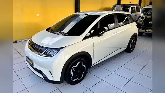 Foto de um byd dolphin