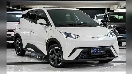 Foto de um byd dolphin plus