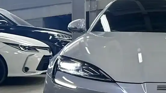 Foto de um byd seal