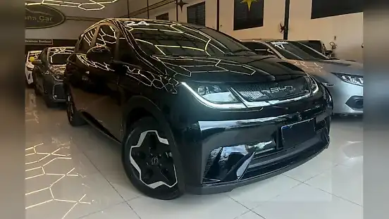 Foto de um byd dolphin