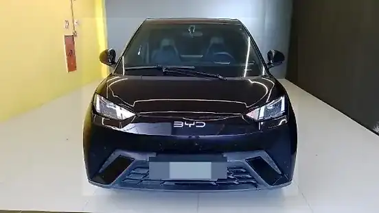 Foto de um byd dolphin mini