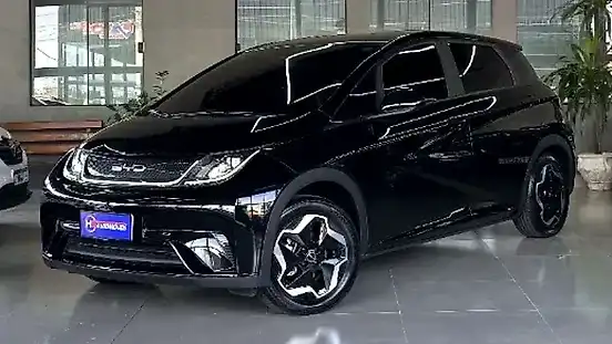 Foto de um byd dolphin