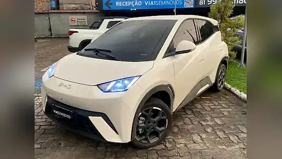 Foto de um byd dolphin mini