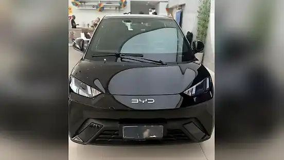 Foto de um byd dolphin mini