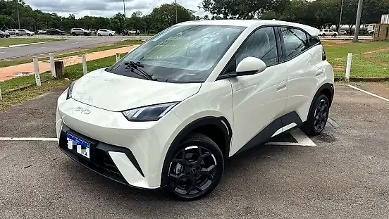 Foto de um byd dolphin mini